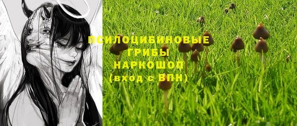 синтетический гашиш Няндома