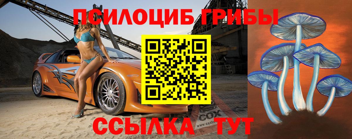 Псилоцибиновые грибы Cubensis  Галлюциногенные грибы мицелий  Вход с VPN  Бахчисарай 