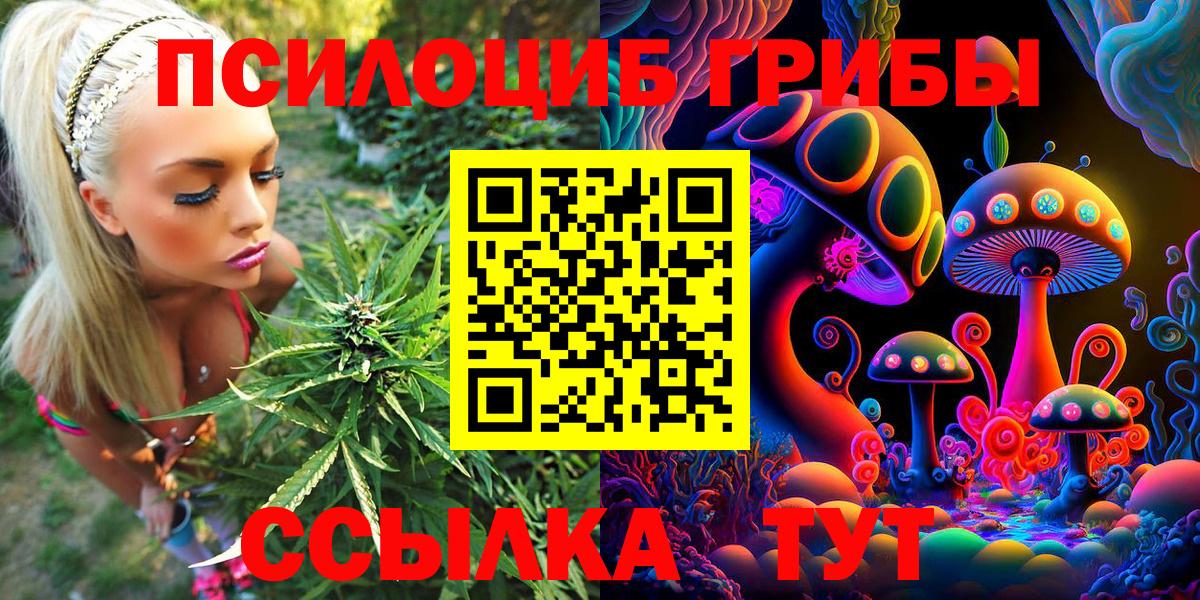 Псилоцибиновые грибы GOLDEN TEACHER  Бахчисарай 